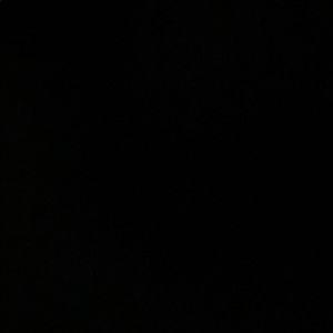 Meet your Posher, Sheena